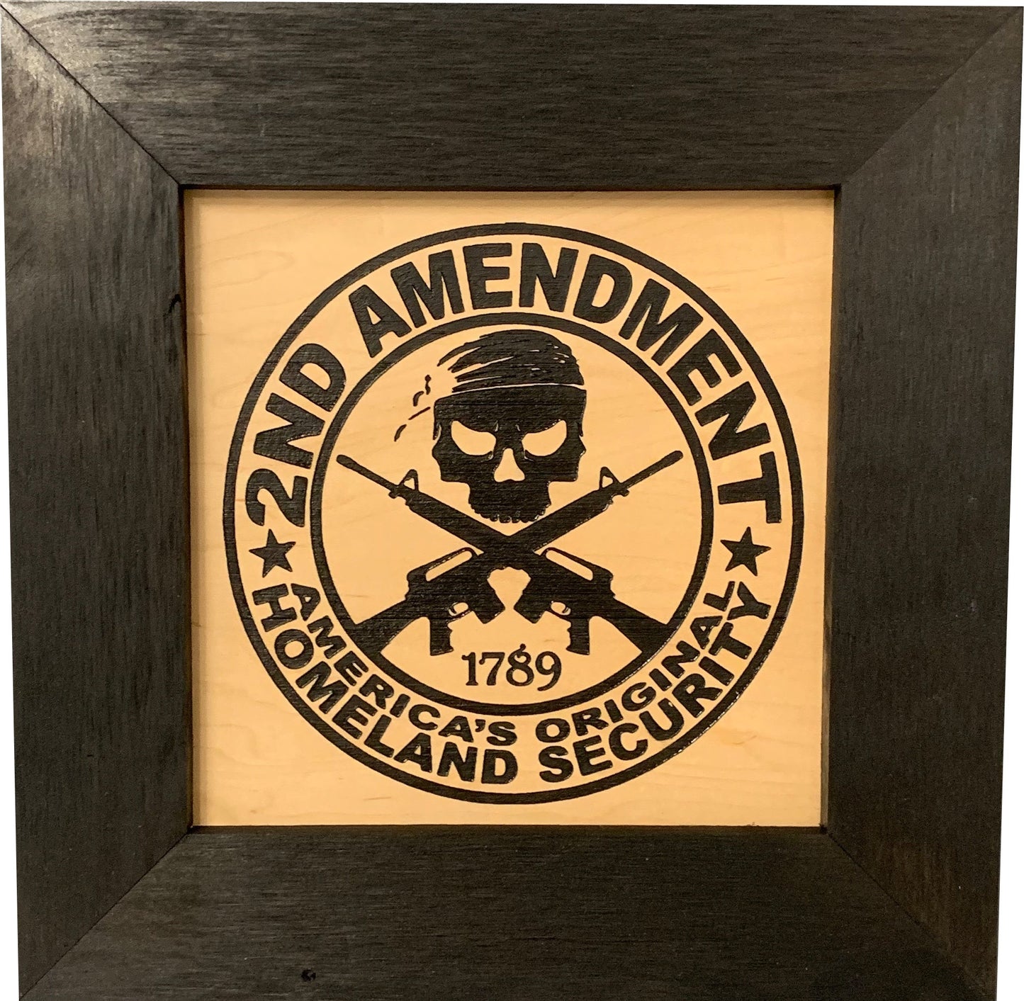 Second Amendment Concealment Storage