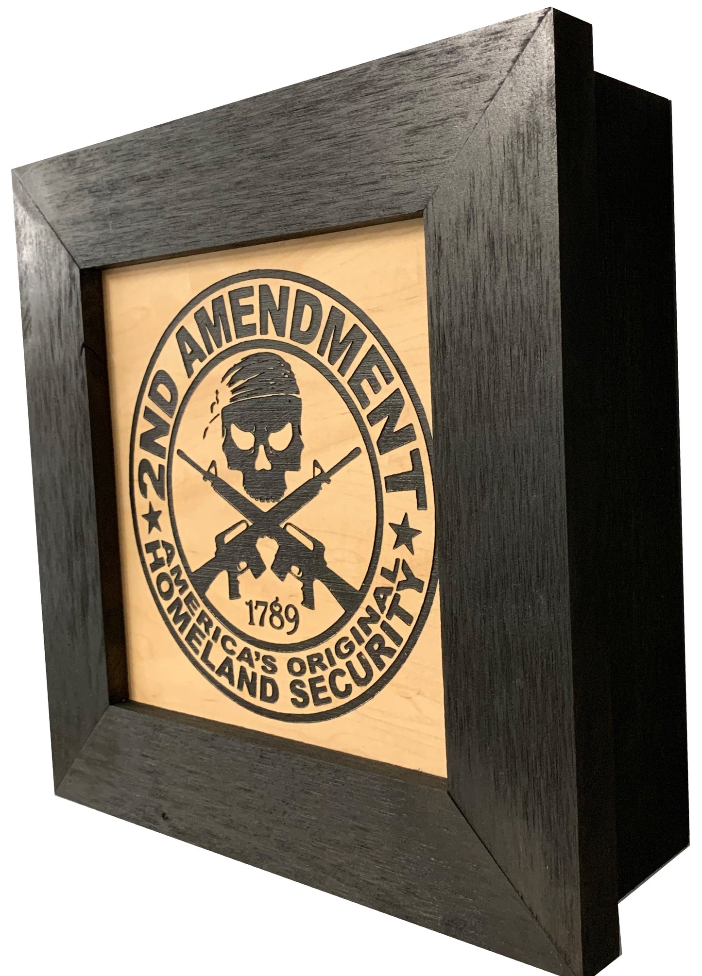Second Amendment Concealment Storage