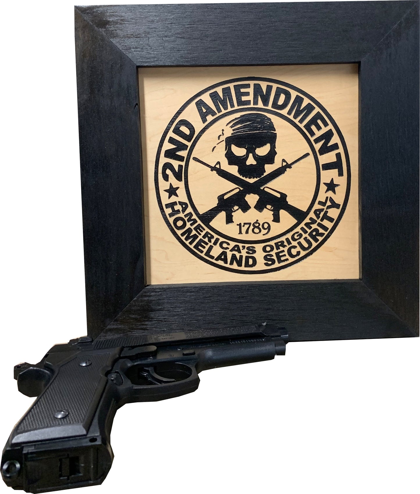 Second Amendment Concealment Storage