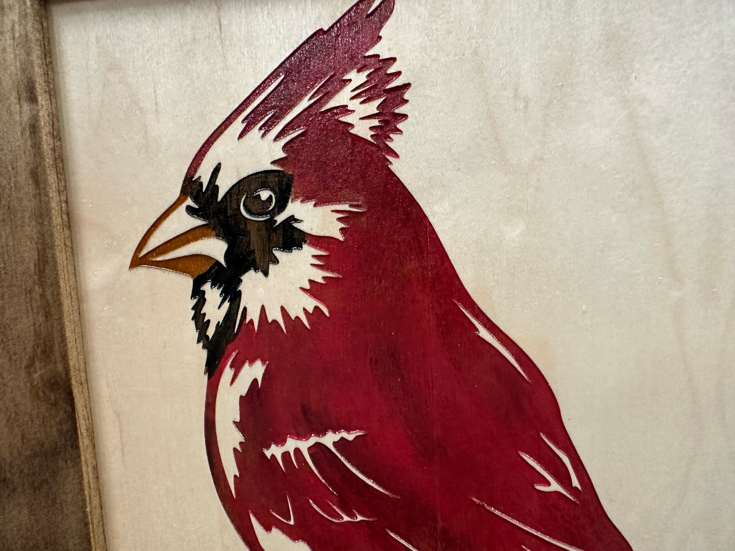 Red Cardinal