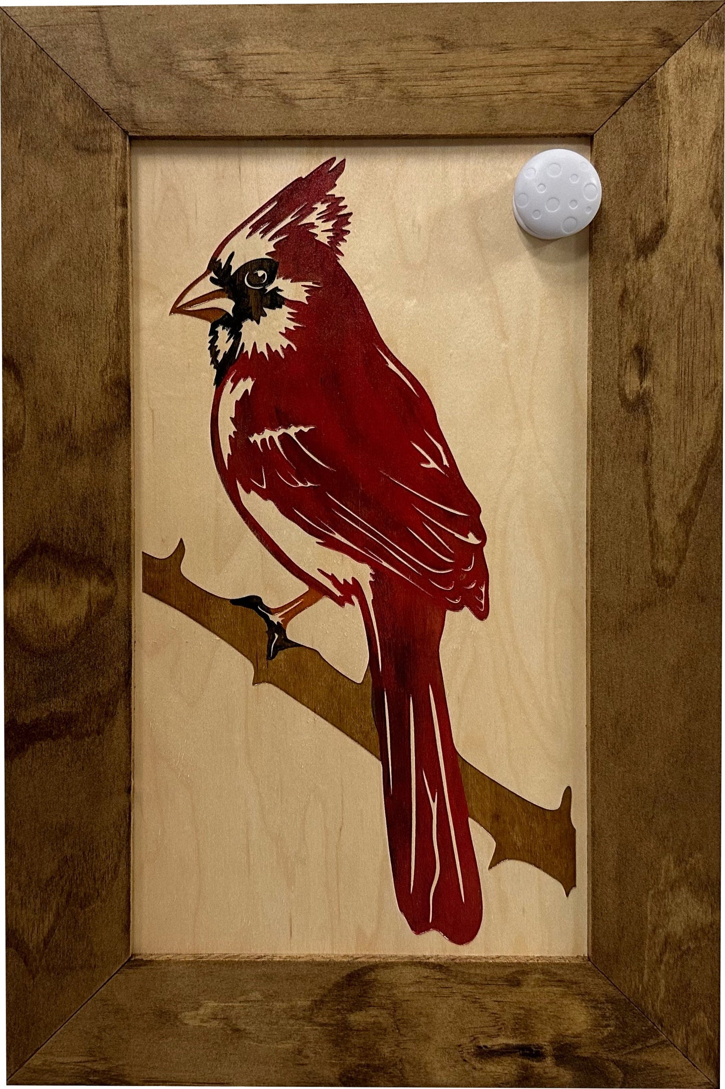 Red Cardinal