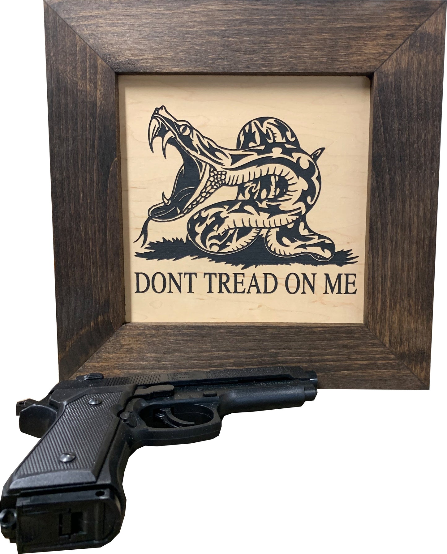 Second Amendment Concealment Storage