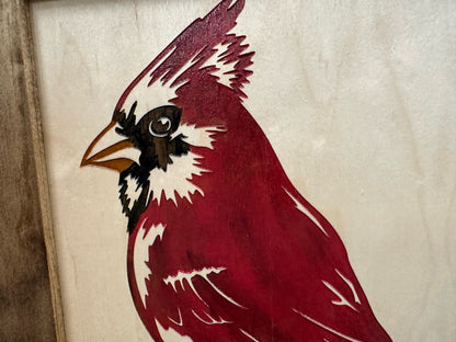 Red Cardinal