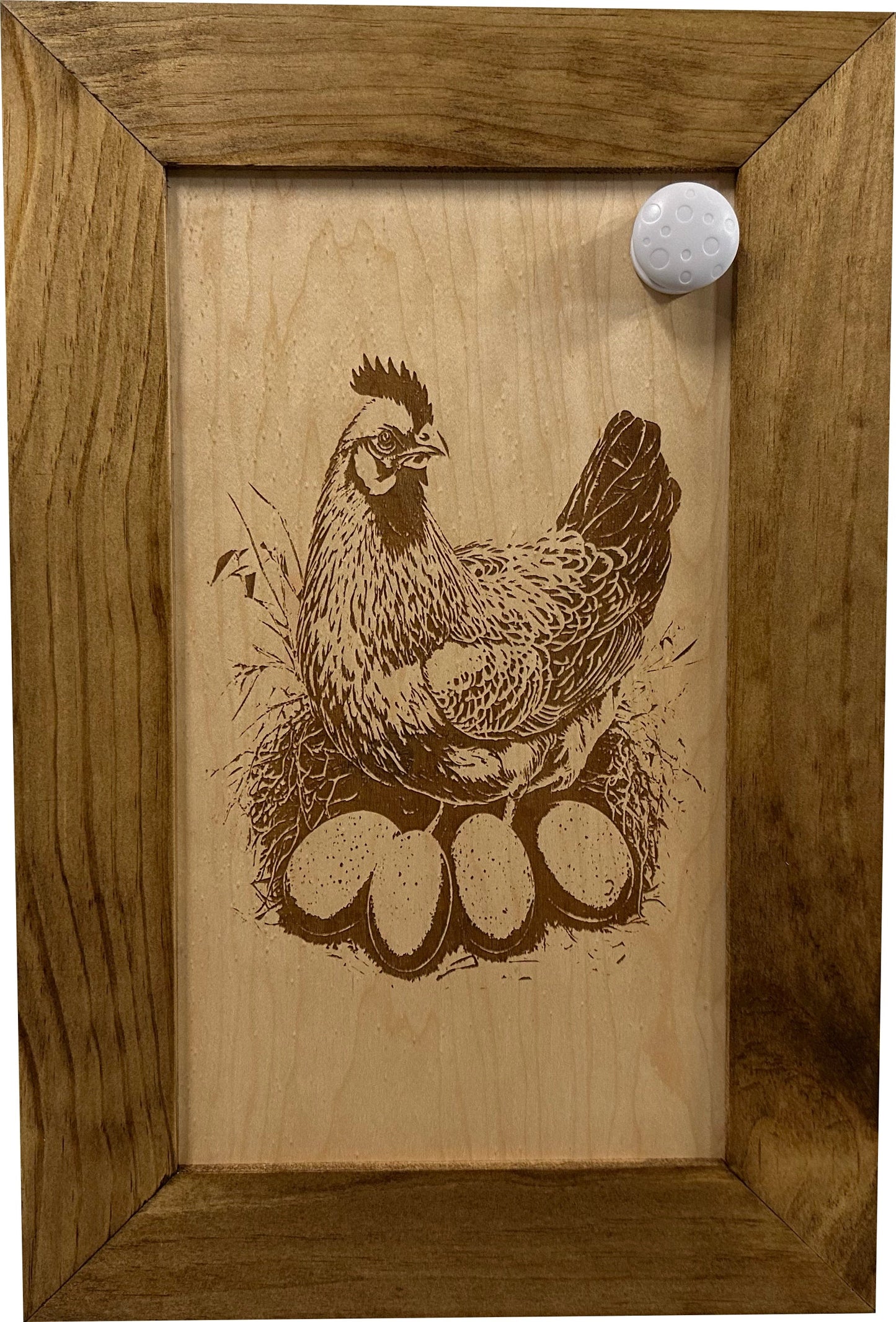 Chicken and Eggs 1